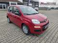 Fiat Panda Fiat Panda MY25 Pandina POP Hybrid | PDC | TOP Rouge - thumbnail 7