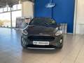 Ford Fiesta ACTIVE 5D 1.0L EB 95PS Grigio - thumbnail 6