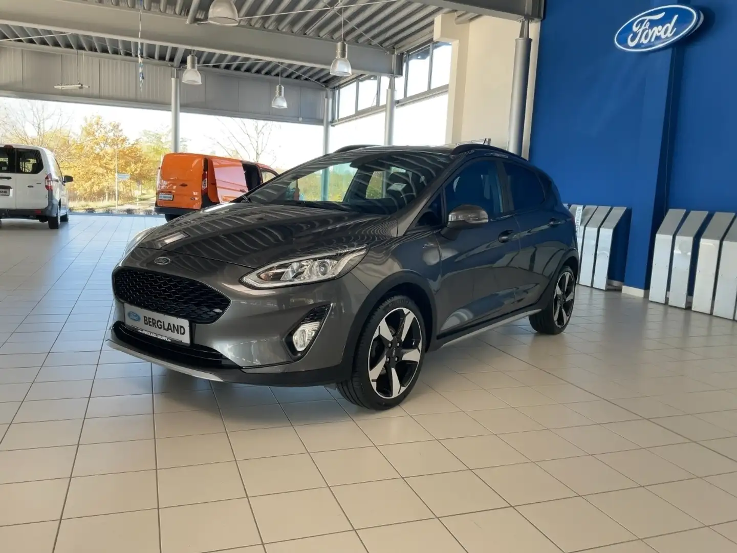 Ford Fiesta ACTIVE 5D 1.0L EB 95PS Grigio - 1