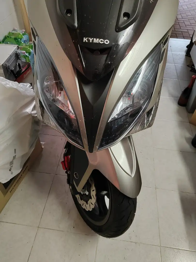 Kymco Xciting 300i R Grigio - 2