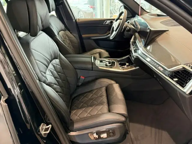 BMW X5 view 10