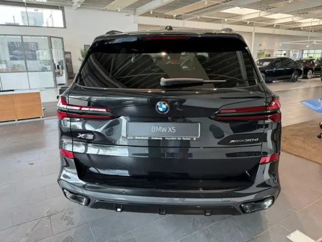 BMW X5 view 6