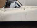 Jaguar XK cabriolet Bianco - thumbnail 26