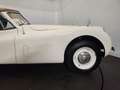 Jaguar XK cabriolet Bianco - thumbnail 27