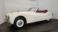 Jaguar XK cabriolet Bianco - thumbnail 8