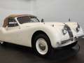 Jaguar XK cabriolet Bianco - thumbnail 14