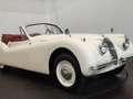 Jaguar XK cabriolet Bianco - thumbnail 1