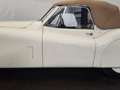 Jaguar XK cabriolet Bianco - thumbnail 19
