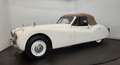 Jaguar XK cabriolet Bianco - thumbnail 2