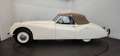 Jaguar XK cabriolet Bianco - thumbnail 17