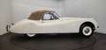 Jaguar XK cabriolet Bianco - thumbnail 24