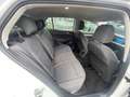 Volkswagen Golf Golf 2.0 tdi Life 115cv Blanco - thumbnail 12
