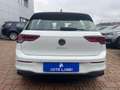 Volkswagen Golf Golf 2.0 tdi Life 115cv Blanco - thumbnail 7