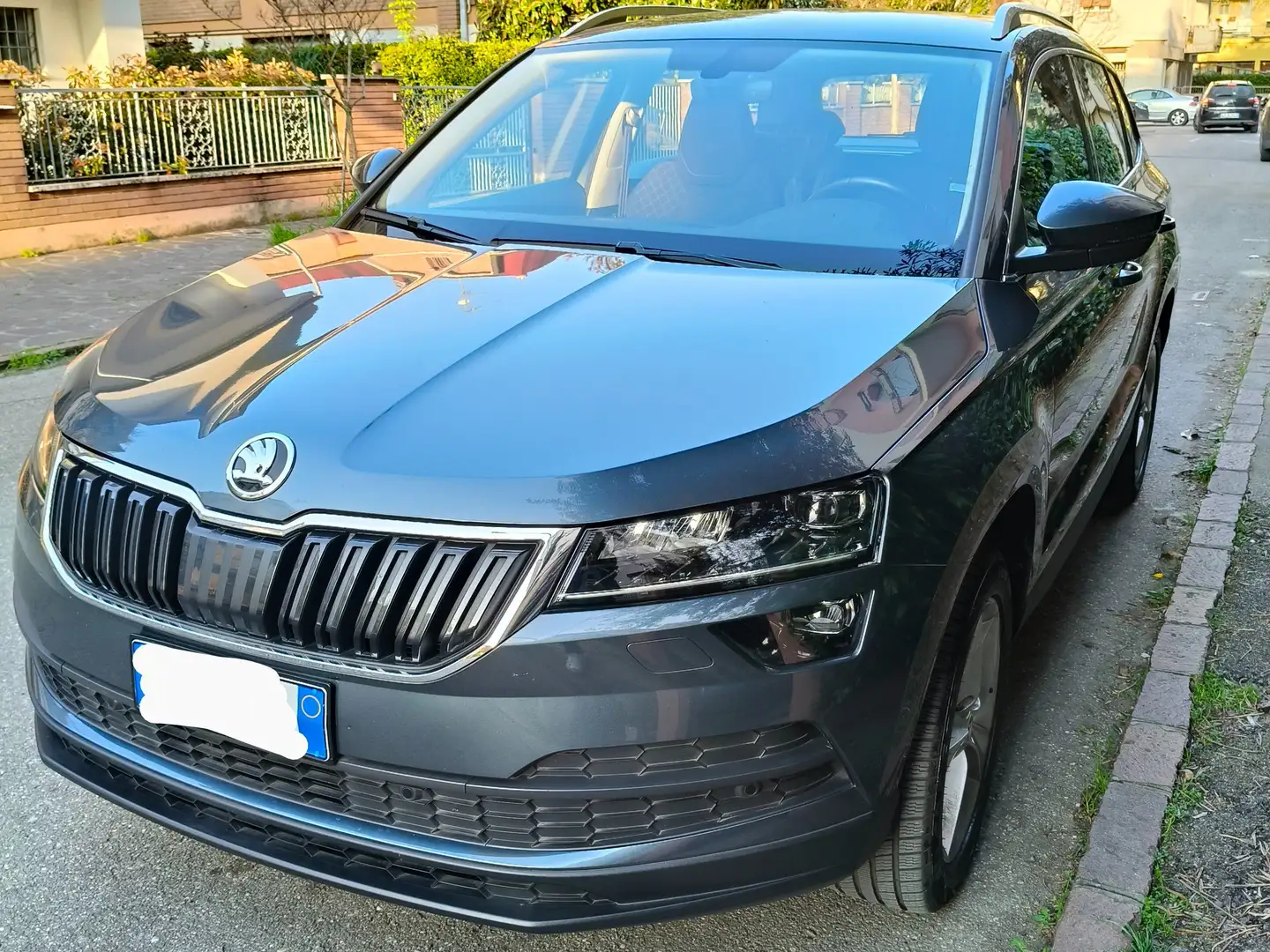 Skoda Karoq 1.0 TSI Executive 115cv - 1