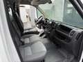 Fiat Ducato Pritsche/Doppelk. 35 130 L4 Pritsc Weiß - thumbnail 7