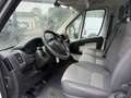 Fiat Ducato Pritsche/Doppelk. 35 130 L4 Pritsc Weiß - thumbnail 5