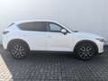 Mazda CX-5 2.2l Sports-Line AWD Leder AHK Standheizung Wit - thumbnail 4