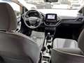 Ford Fiesta Fiesta 5p 1.1 Plus 70cv Grijs - thumbnail 12
