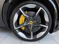 Ferrari Purosangue IVA ESPOSTA FULL FULL OPTIONAL VISIBILE IN SEDE Grau - thumbnail 14