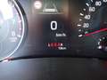 Suzuki Swift 1,2 Hybrid Allgrip Flash,"SOFORT VERFÜGBAR" !! Rot - thumbnail 16