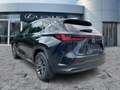 Lexus NX 450h+ Business Line Navi*4xSHZ*360KAM*DAB Schwarz - thumbnail 6