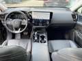 Lexus NX 450h+ Business Line Navi*4xSHZ*360KAM*DAB Fekete - thumbnail 12