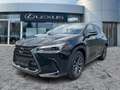 Lexus NX 450h+ Business Line Navi*4xSHZ*360KAM*DAB Fekete - thumbnail 2