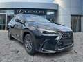 Lexus NX 450h+ Business Line Navi*4xSHZ*360KAM*DAB Schwarz - thumbnail 8