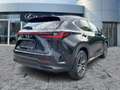Lexus NX 450h+ Business Line Navi*4xSHZ*360KAM*DAB Fekete - thumbnail 7
