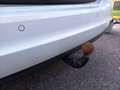 SEAT Alhambra Alhambra Executive 2,0 TDI CR Executive Weiß - thumbnail 10
