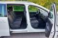 SEAT Alhambra Alhambra Executive 2,0 TDI CR Executive Weiß - thumbnail 7