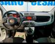 Fiat New Panda 1.0 FireFly Hybrid Wit - thumbnail 5