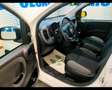 Fiat New Panda 1.0 FireFly Hybrid Wit - thumbnail 6