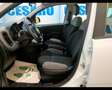 Fiat New Panda 1.0 FireFly Hybrid Wit - thumbnail 15