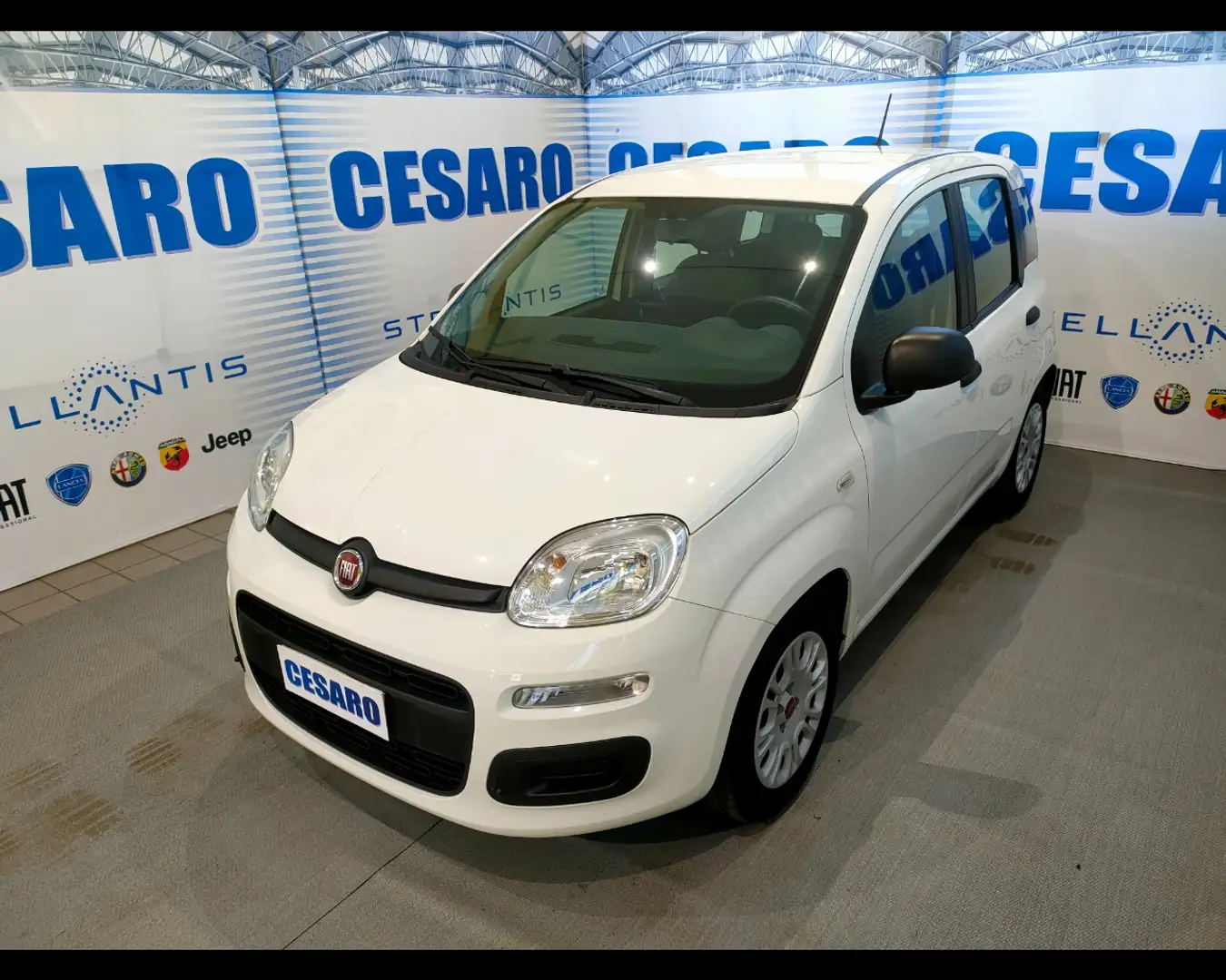 Fiat New Panda 1.0 FireFly Hybrid Wit - 2