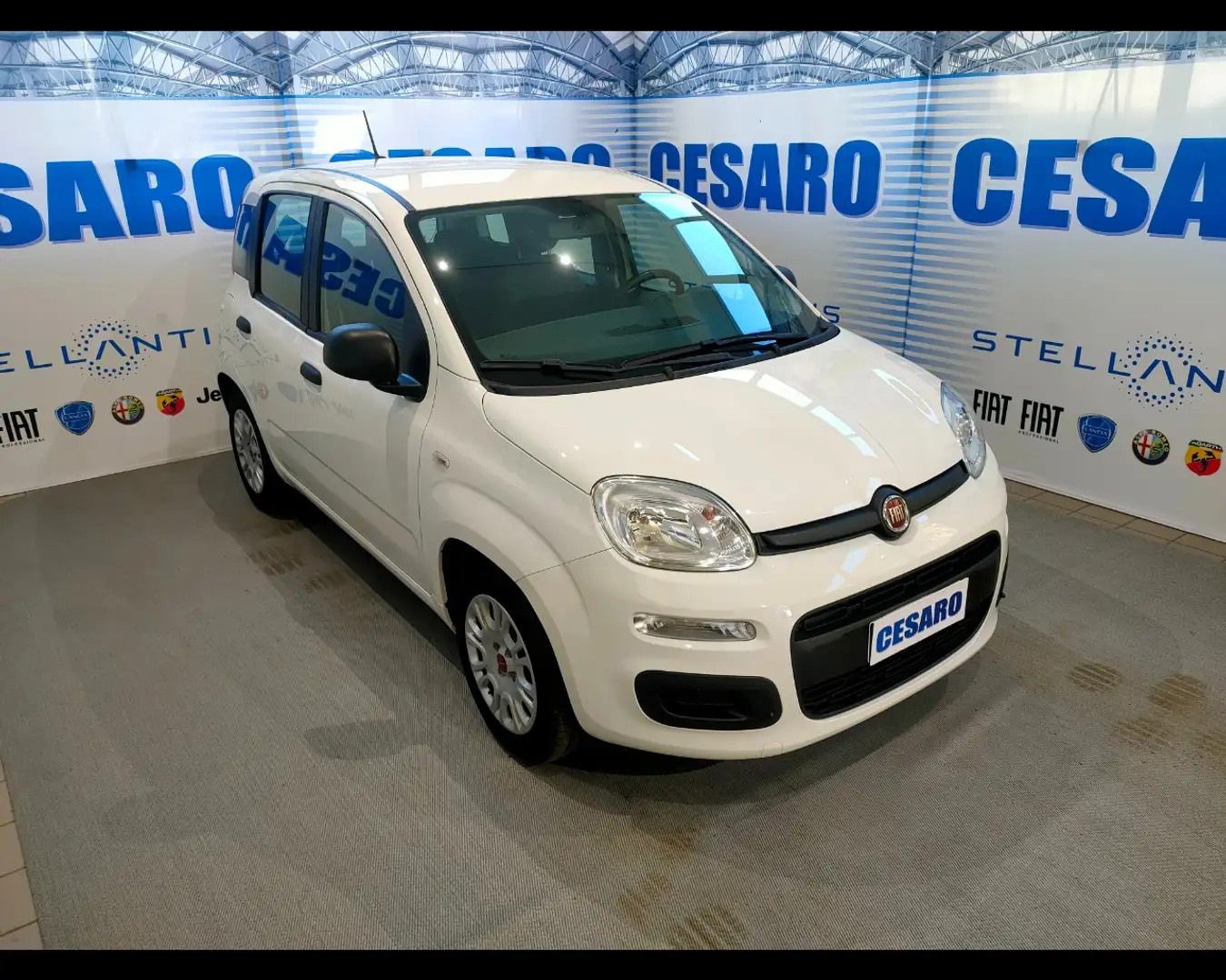 Fiat New Panda 1.0 FireFly Hybrid Wit - 1