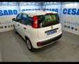 Fiat New Panda 1.0 FireFly Hybrid Wit - thumbnail 4