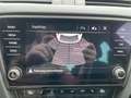 Skoda Octavia Combi TDI Ambition/MWST/NAVI/SHZ Zilver - thumbnail 16