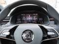 Skoda Kamiq 1.5 TSI ACT Monte Carlo AHK Grau - thumbnail 14