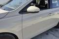 Volkswagen Polo 1.0 TSI Life 70kW Gris - thumbnail 13