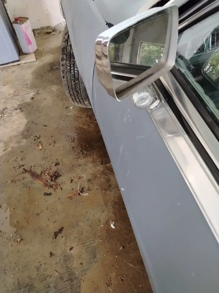 Cadillac Seville, foto 7