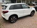 Suzuki Vitara COMFORT+ ALLGRIP 2024 Weiß - thumbnail 5