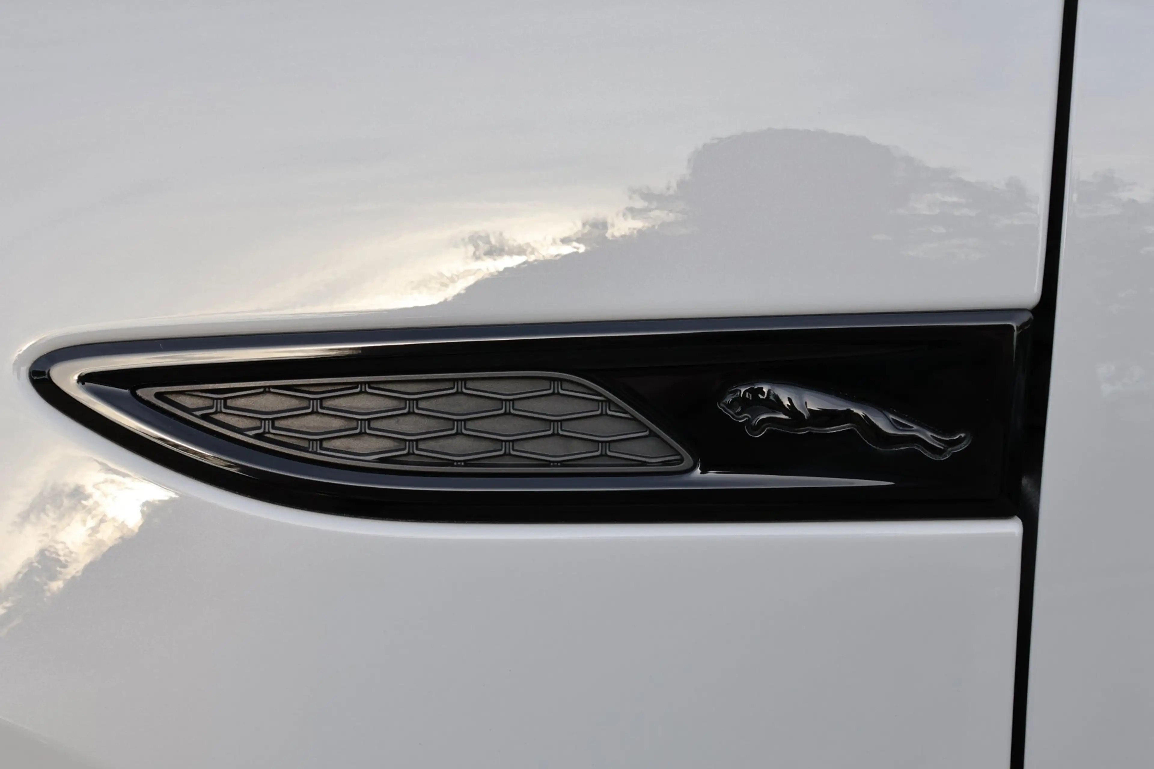 Jaguar E-Pace 1.5 P300e AWD R-Dynamic HSE Black Optiek | panoram — photo 35
