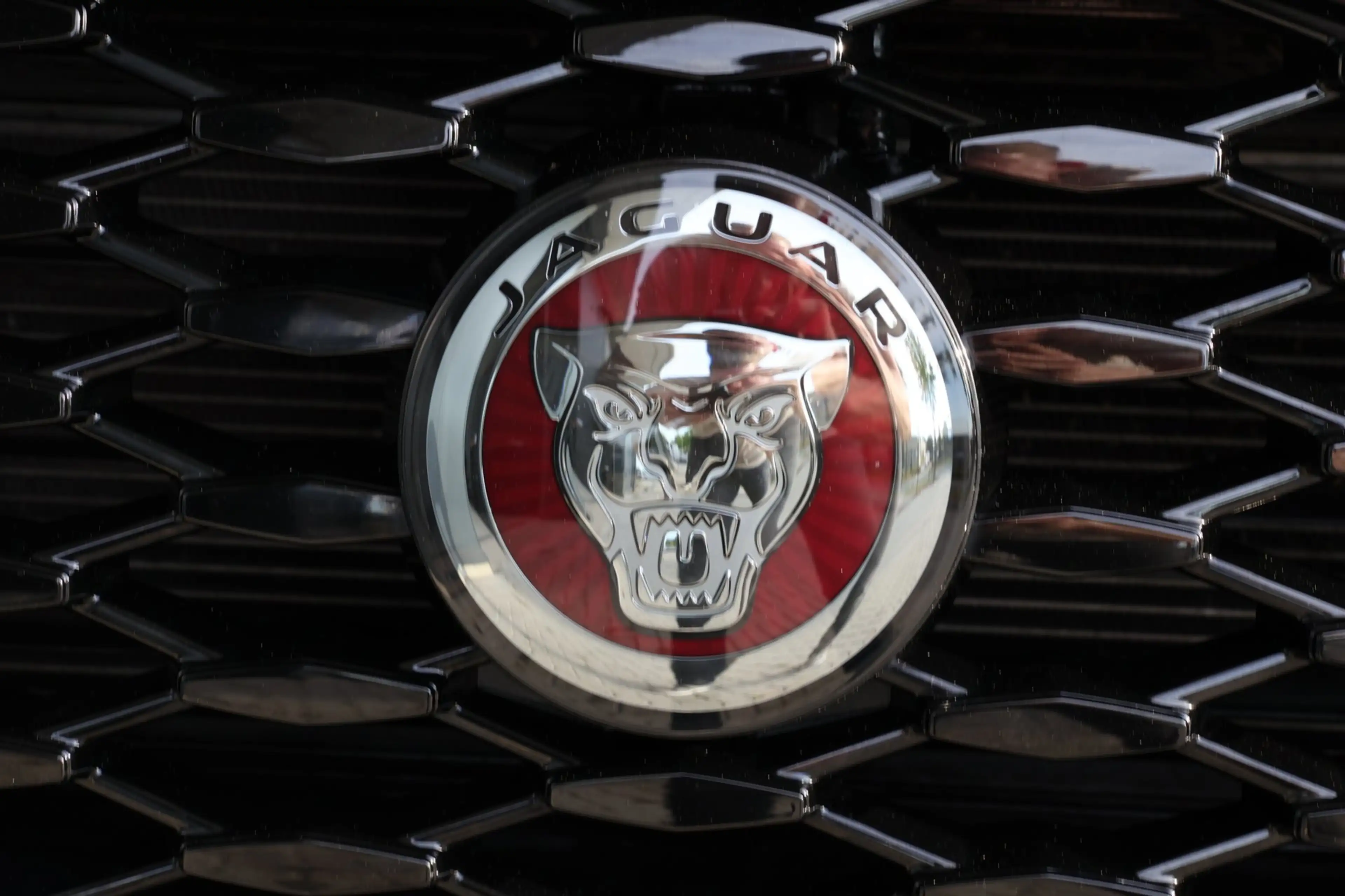 Jaguar E-Pace 1.5 P300e AWD R-Dynamic HSE Black Optiek | panoram — photo 33