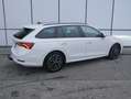 Skoda Octavia 2,0 TDI Ambition DSG, AHK, Standheizung, ACC, L... Weiß - thumbnail 4