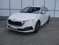 Skoda Octavia 2,0 TDI Ambition DSG, AHK, Standheizung, ACC, L... Weiß - thumbnail 2