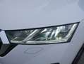 Skoda Octavia 2,0 TDI Ambition DSG, AHK, Standheizung, ACC, L... Weiß - thumbnail 7