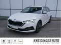 Skoda Octavia 2,0 TDI Ambition DSG, AHK, Standheizung, ACC, L... Weiß - thumbnail 1