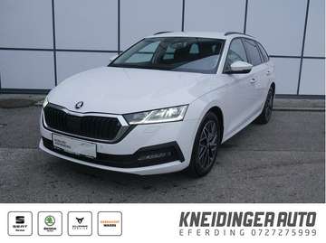 2,0 TDI Ambition DSG, AHK, Standheizung, ACC, L...