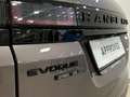 Land Rover Range Rover Evoque 2.0D I4-L.Flw 150 CV AWD Auto SE Bruin - thumbnail 15